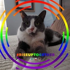 Meet your Posher, Gail